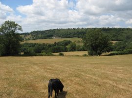 Fields nr Ide Hill